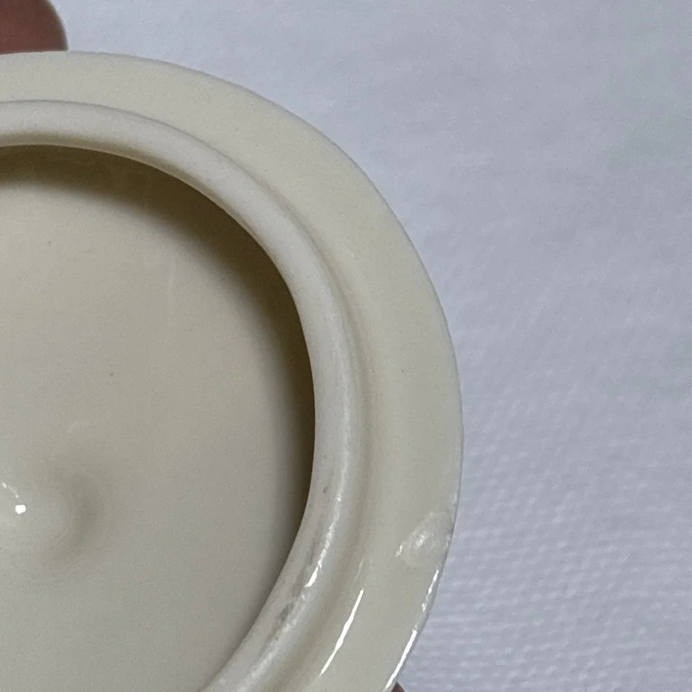 Lenox small chip
